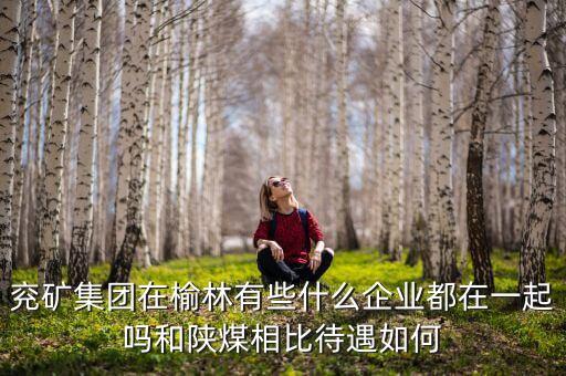 兗州煤業(yè)公司經(jīng)營(yíng)什么，兗礦集團(tuán)在榆林有些什么企業(yè)都在一起嗎和陜煤相比待遇如何