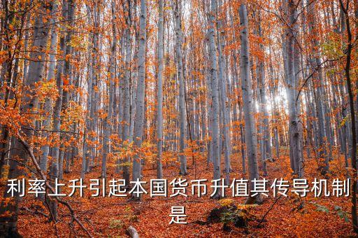利率上升引起本國貨幣升值其傳導(dǎo)機制是