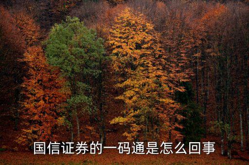 國(guó)信證券的一碼通是怎么回事