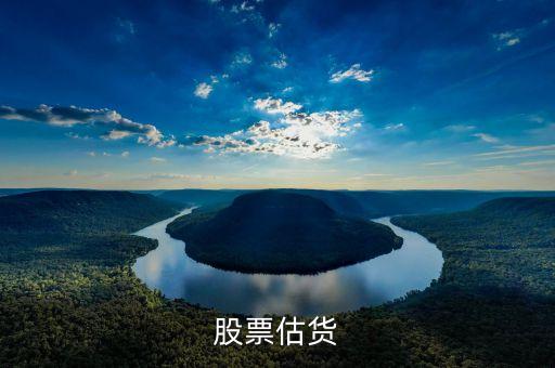 股票估是什么意思，估在股票里面什么意思