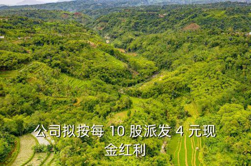 股票10派4是什么意思，2015年1至12月中成股份分配預案10派4是什么意思
