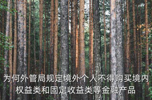 為何外管局規(guī)定境外個人不得購買境內(nèi)權益類和固定收益類等金融產(chǎn)品