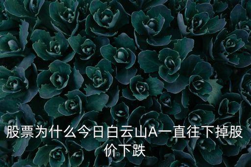 白云山a為什么退市，白云山A被廣藥完全收購了現(xiàn)在白云山終止上市了以前白云山股東
