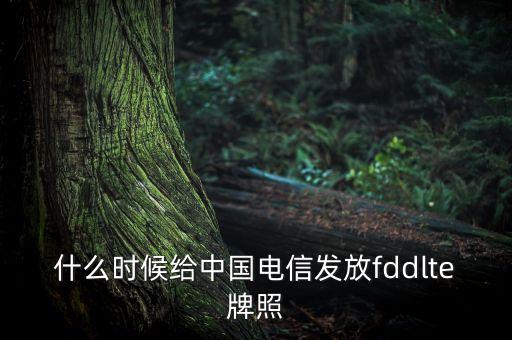 什么時(shí)候給中國電信發(fā)放fddlte牌照