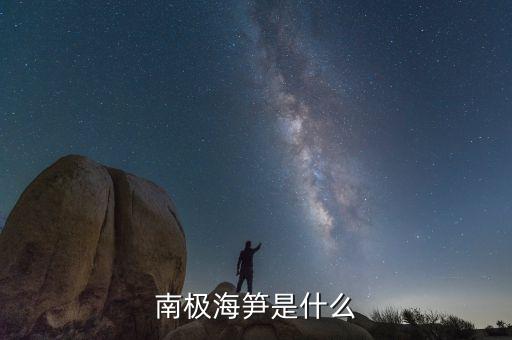 南極天喻是什么，南極海筍是什么