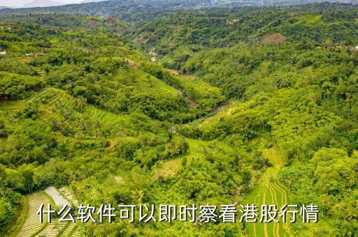 什么軟件可以即時(shí)察看港股行情