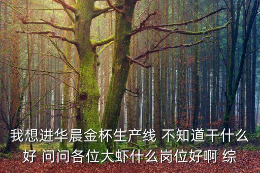 我想進(jìn)華晨金杯生產(chǎn)線 不知道干什么好 問問各位大蝦什么崗位好啊 綜