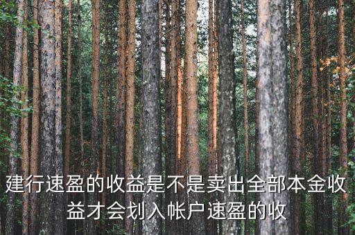 建行速盈為什么要賣出，建行速盈收益是不是賣出后才能拿到