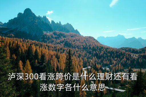 看漲跨價什么意思，理財 滬深300看漲跨價好不好