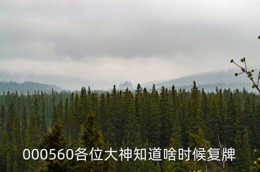 美盛文化什么時候復(fù)牌，000627估計什么時候復(fù)牌走勢如何有什么重大消息嗎