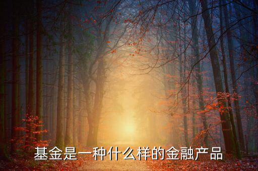 基金是一種什么樣的金融產(chǎn)品