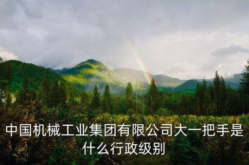 宋志平是什么級別，宋志平為什么長這么高