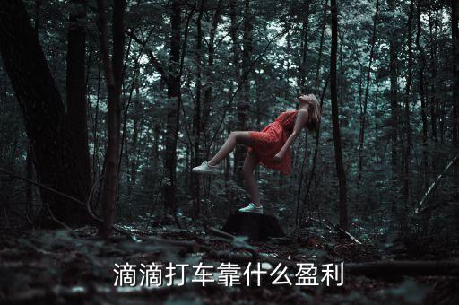 打車軟件靠什么賺錢，滴滴打車靠什么盈利