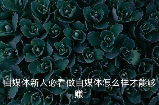 自媒體新人必看做自媒體怎么樣才能夠賺