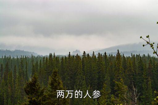 兩萬的人參