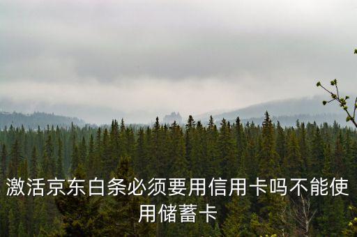 京東白條要什么銀行卡，京東打白條一定要信用卡嗎儲(chǔ)蓄卡不能用嗎
