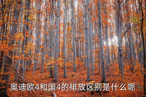 奧迪歐4和國(guó)4的排放區(qū)別是什么呢