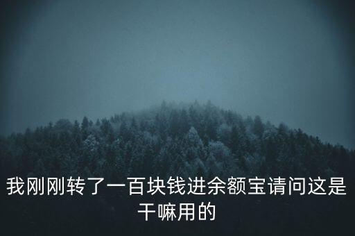 我剛剛轉(zhuǎn)了一百塊錢進余額寶請問這是干嘛用的