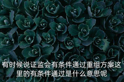 重組項目過會是什么意思，資產(chǎn)重組獲股東大會高票通過什么意思