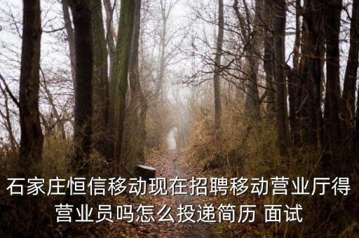 恒信移動是什么公司，河北恒信是做什么的公司