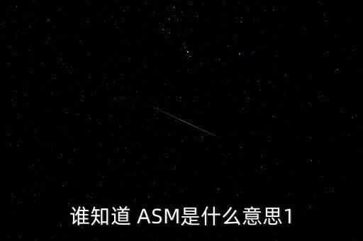 誰知道 ASM是什么意思1