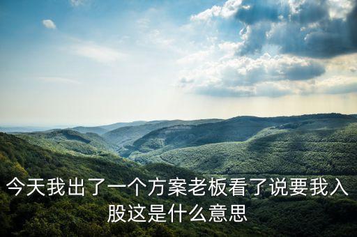 今天我出了一個(gè)方案老板看了說要我入股這是什么意思