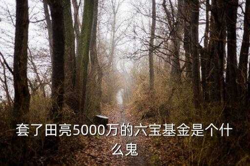 六寶并購基金投資什么項目，套了田亮5000萬的六寶基金是個什么鬼