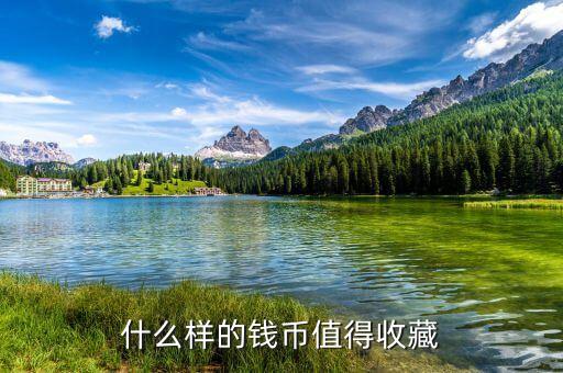 大買(mǎi)家喜歡什么樣的錢(qián)幣，什么樣的錢(qián)幣比較有價(jià)值