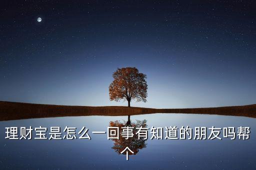 海通理財(cái)寶是什么，理財(cái)寶是什么求好的來介紹呢謝謝