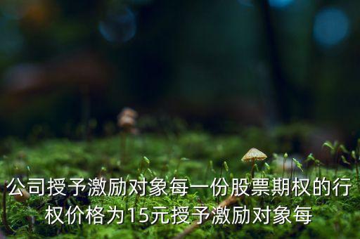 公司授予激勵對象每一份股票期權的行權價格為15元授予激勵對象每