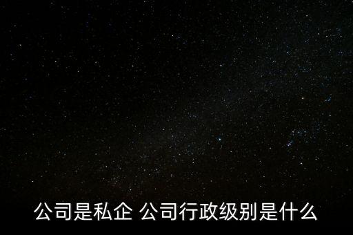 公司是私企 公司行政級別是什么