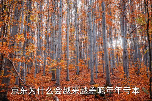 京東為什么虧，京東為什么會(huì)越來越差呢年年虧本