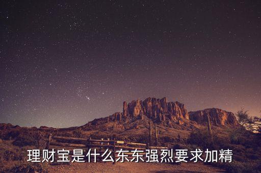 理財寶是什么東東強烈要求加精