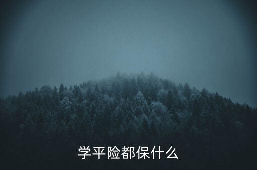 學(xué)平險(xiǎn)160元買(mǎi)什么險(xiǎn)，現(xiàn)在孩子上小學(xué)有學(xué)平險(xiǎn)還需要買(mǎi)什么保險(xiǎn)