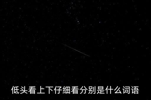 尾盤看什么，低頭看上下仔細(xì)看分別是什么詞語