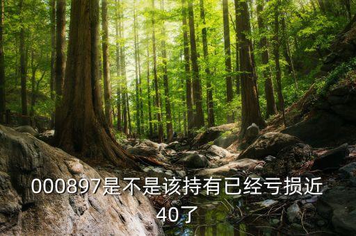 000897為什么虧損，天山股份2017年度怎么虧損那么多