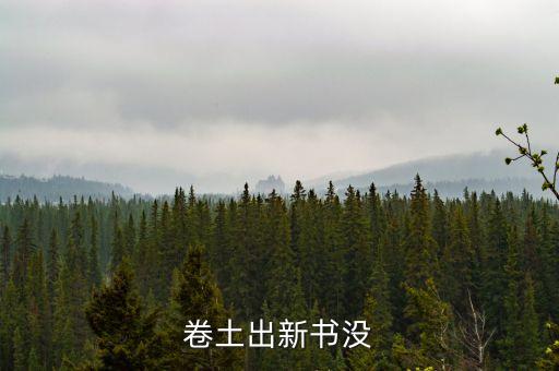 為什么卷土起點，起點是什么時候被盛大收購的
