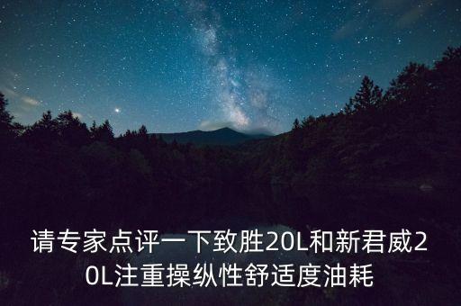 請(qǐng)專家點(diǎn)評(píng)一下致勝20L和新君威20L注重操縱性舒適度油耗