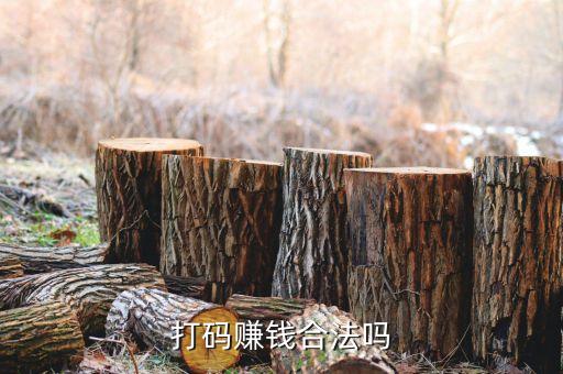 簡網靠什么盈利，打碼賺錢合法嗎