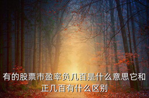 有的股票市盈率負(fù)幾百是什么意思它和正幾百有什么區(qū)別