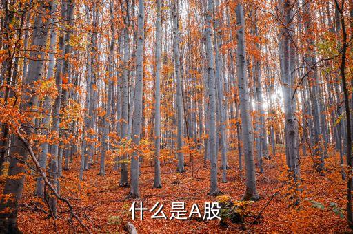 a股市場什么意思，什么是A股