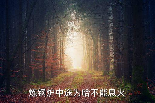 煉鋼爐中途為哈不能息火