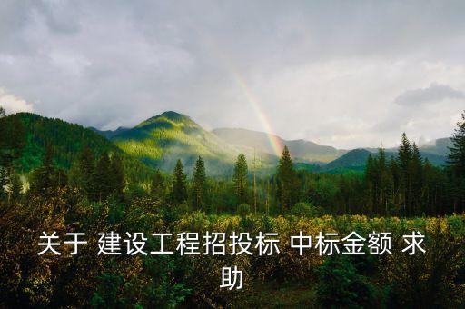 中標(biāo)金額是什么，關(guān)于 建設(shè)工程招投標(biāo) 中標(biāo)金額 求助