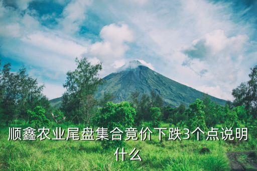 順鑫農業(yè)尾盤集合竟價下跌3個點說明什么