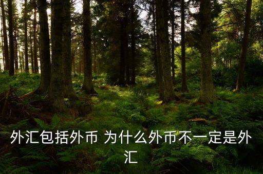 外匯包括外幣 為什么外幣不一定是外匯