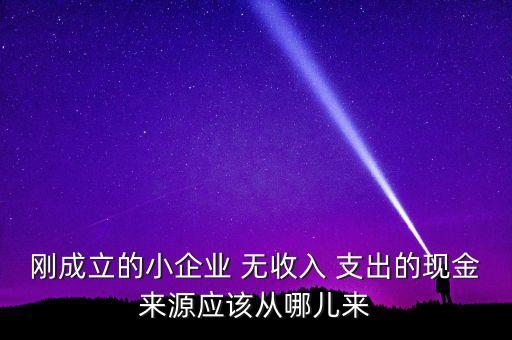小企業(yè)主為什么沒(méi)現(xiàn)金，剛成立的小企業(yè) 無(wú)收入 支出的現(xiàn)金來(lái)源應(yīng)該從哪兒來(lái)