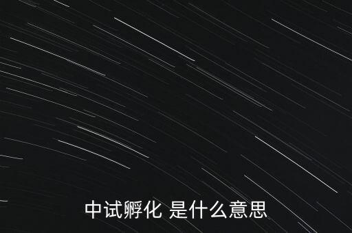 中試孵化是什么意思，中試孵化 是什么意思