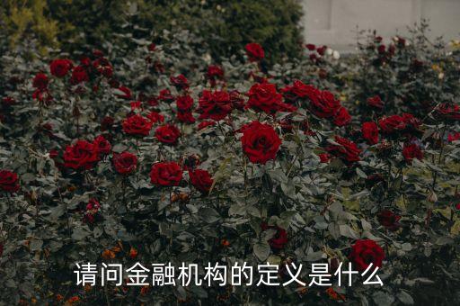 請問金融機構(gòu)的定義是什么