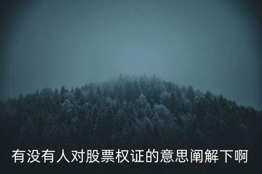 有沒有人對股票權(quán)證的意思闡解下啊