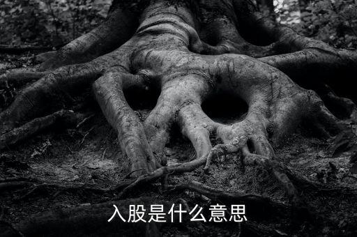 入股是什么意思